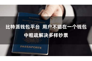 比特派钱包平台 用户不错在一个钱包中粗疏解决多样钞票