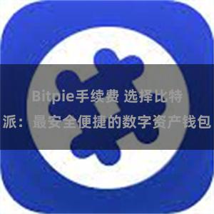 Bitpie手续费 选择比特派：最安全便捷的数字资产钱包