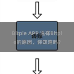 Bitpie APP 选择Bitpie的原因，你知道吗？