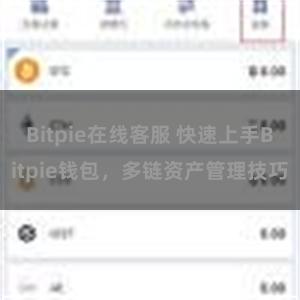 Bitpie在线客服 快速上手Bitpie钱包，多链资产管理技巧