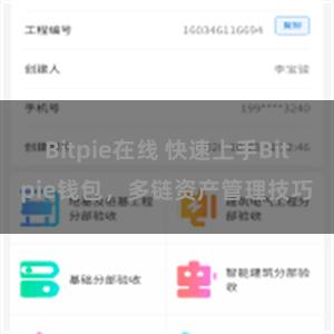 Bitpie在线 快速上手Bitpie钱包，多链资产管理技巧