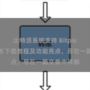 比特派系统支持 Bitpie钱包最新版本下载教程及功能亮点，尽在一篇文章中详解