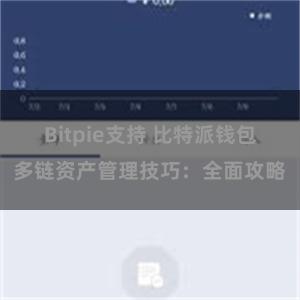 Bitpie支持 比特派钱包多链资产管理技巧：全面攻略