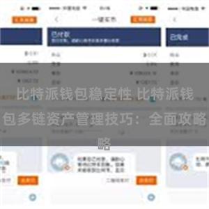 比特派钱包稳定性 比特派钱包多链资产管理技巧：全面攻略