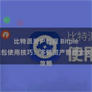 比特派用户教程 Bitpie钱包使用技巧：多链资产管理全攻略