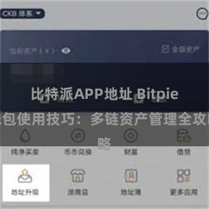 比特派APP地址 Bitpie钱包使用技巧：多链资产管理全攻略