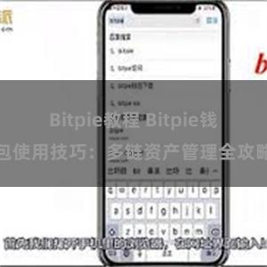 Bitpie教程 Bitpie钱包使用技巧：多链资产管理全攻略