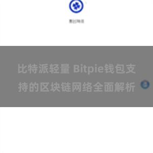 比特派轻量 Bitpie钱包支持的区块链网络全面解析