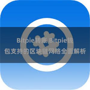 Bitpie转账 Bitpie钱包支持的区块链网络全面解析