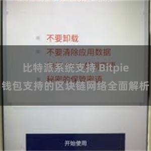 比特派系统支持 Bitpie钱包支持的区块链网络全面解析