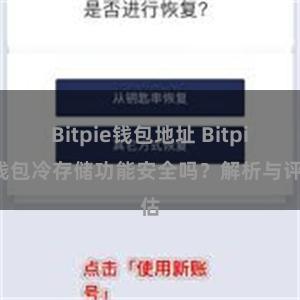 Bitpie钱包地址 Bitpie钱包冷存储功能安全吗？解析与评估