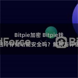 Bitpie加密 Bitpie钱包冷存储功能安全吗？解析与评估