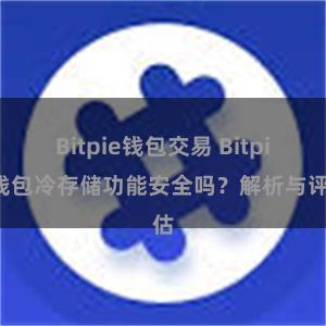 Bitpie钱包交易 Bitpie钱包冷存储功能安全吗？解析与评估