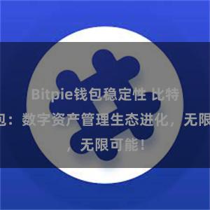 Bitpie钱包稳定性 比特派钱包：数字资产管理生态进化，无限可能！