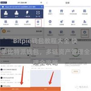 Bitpie钱包教程大全 快速上手比特派钱包，多链资产管理全攻略