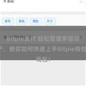 Bitpie支付 轻松管理多链资产，教你如何快速上手Bitpie钱包！