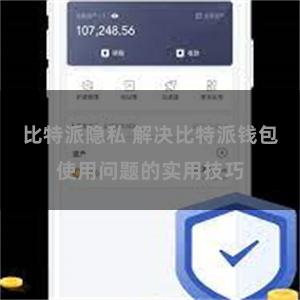 比特派隐私 解决比特派钱包使用问题的实用技巧