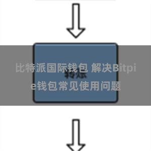 比特派国际钱包 解决Bitpie钱包常见使用问题