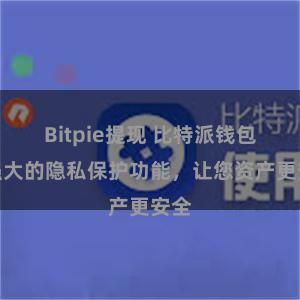 Bitpie提现 比特派钱包：强大的隐私保护功能，让您资产更安全