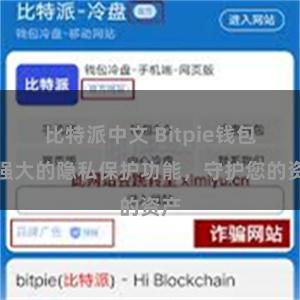 比特派中文 Bitpie钱包：强大的隐私保护功能，守护您的资产