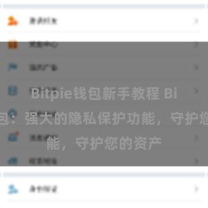 Bitpie钱包新手教程 Bitpie钱包：强大的隐私保护功能，守护您的资产