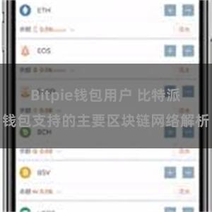 Bitpie钱包用户 比特派钱包支持的主要区块链网络解析