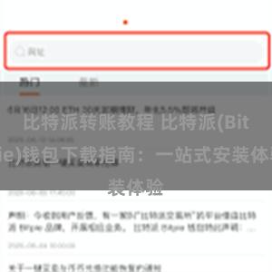 比特派转账教程 比特派(Bitpie)钱包下载指南：一站式安装体验