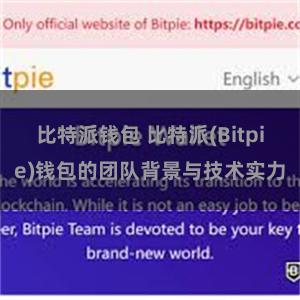 比特派钱包 比特派(Bitpie)钱包的团队背景与技术实力