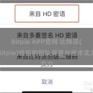 Bitpie APP官网 比特派(Bitpie)钱包的团队背景与技术实力