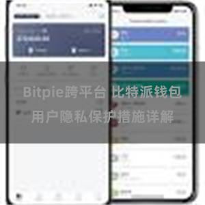 Bitpie跨平台 比特派钱包用户隐私保护措施详解