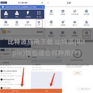 比特派应用下载 比特派(Bitpie)钱包适合何种用户？