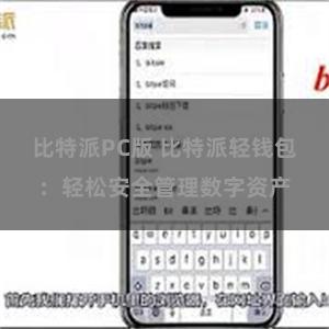 比特派PC版 比特派轻钱包：轻松安全管理数字资产