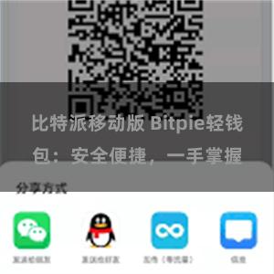 比特派移动版 Bitpie轻钱包：安全便捷，一手掌握