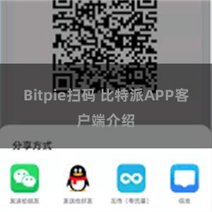 Bitpie扫码 比特派APP客户端介绍