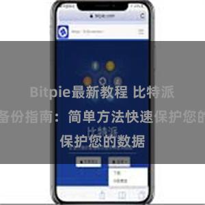 Bitpie最新教程 比特派APP备份指南：简单方法快速保护您的数据