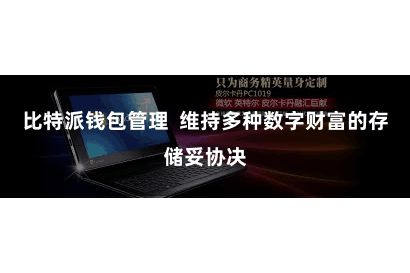 比特派钱包管理 维持多种数字财富的存储妥协决