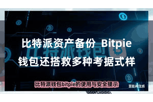 比特派资产备份  Bitpie钱包还搭救多种考据式样