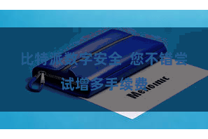 比特派数字安全  您不错尝试增多手续费